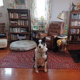 Photo Tour of My Home Library Project (Spring 2025)