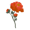 YOU DON'T LOOK STUPID