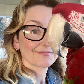 A day in the life of an animal loving writer