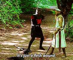 Character in Monty Python and the Holy Grail saying, "it's just a flesh wound," when both of his arms have just been cut off