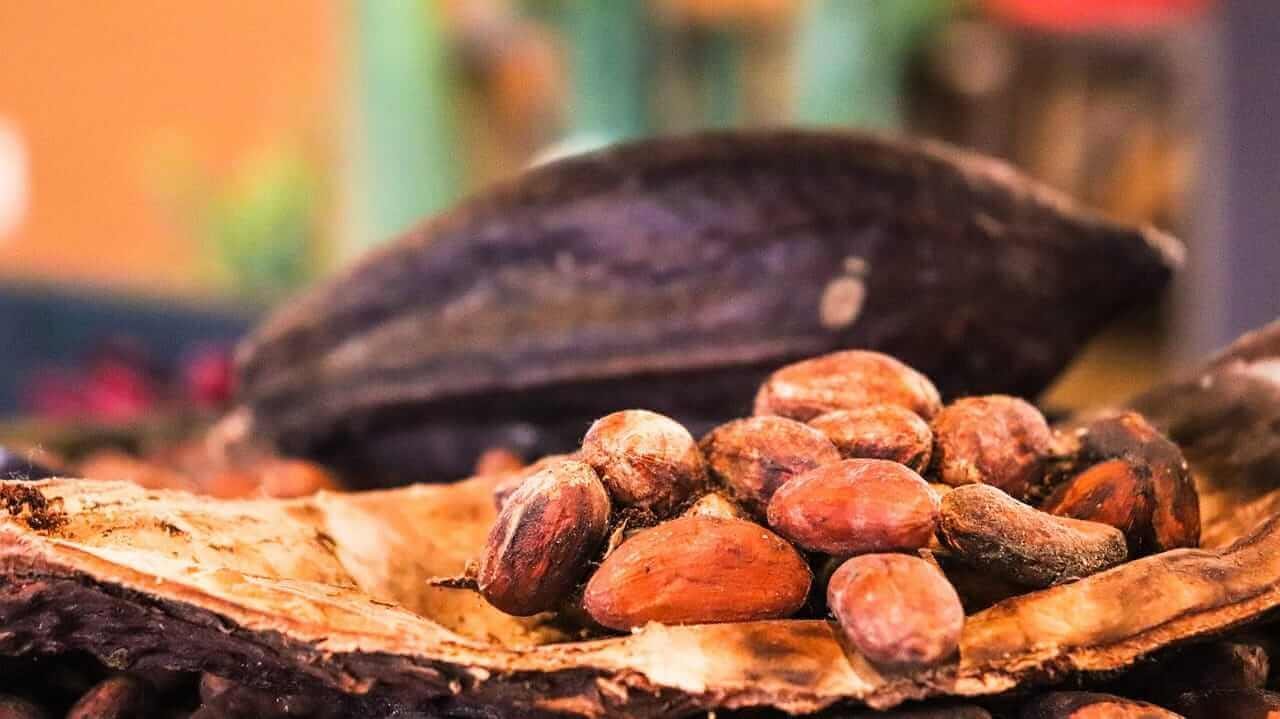 Cacao by Allybally4b via Pixabay