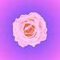 caitlin elizabeth's avatar