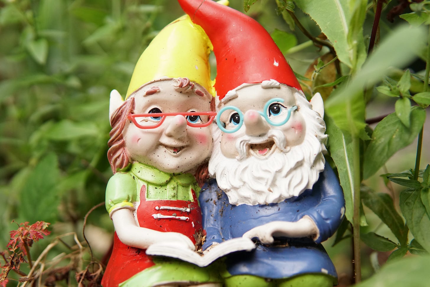 Photo of two garden gnomes wearing glasses reading a book together happily Photo of two garden gnomes wearing glasses reading a book together happily