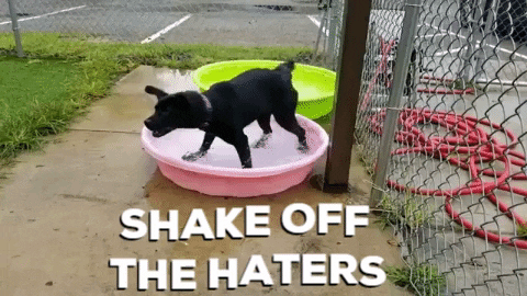 Haters Shake It Off GIF by Humane Society of Northeast Georgia Haters Shake It Off GIF by Humane Society of Northeast Georgia