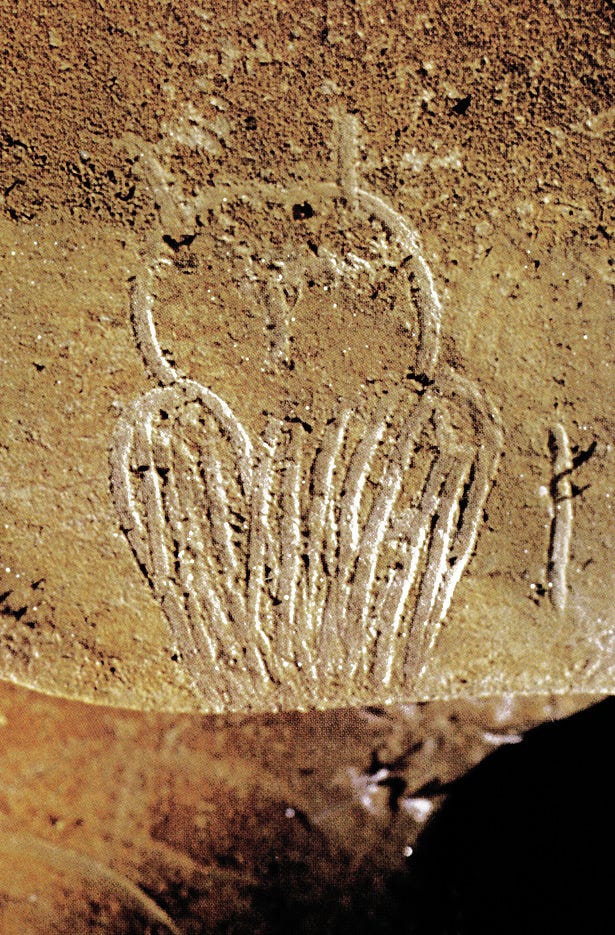 Chauvet Cave Paintings Gallery