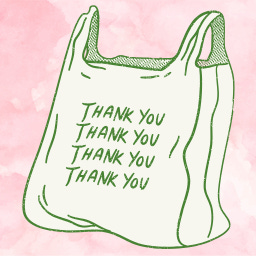 Professional Shopper