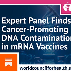 WCH Expert Panel Finds Cancer-Promoting DNA Contamination in Covid-19 Vaccines