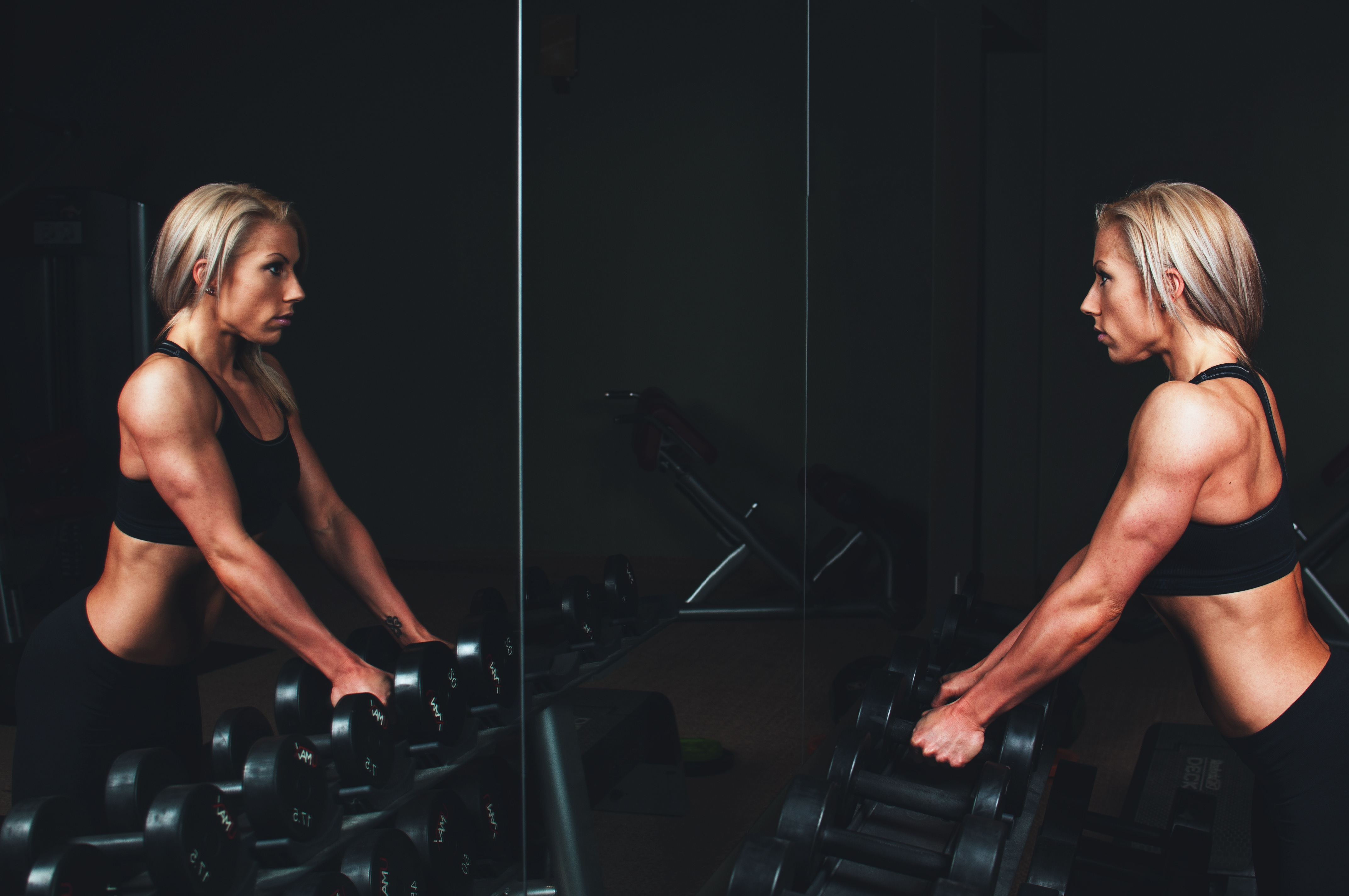 How to Design a Workout Program, Part 5: Designing the Program