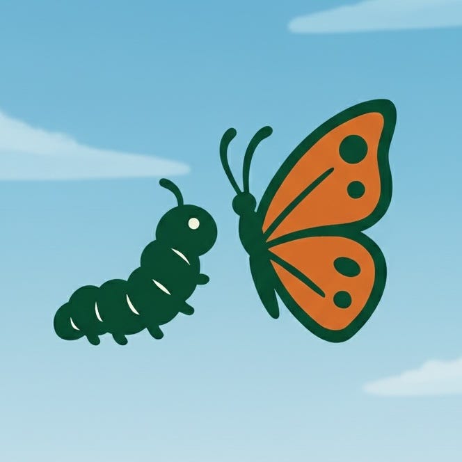 Overlooked and Undervalued