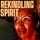 Rekindling Spirit ( Poems for Women ) 