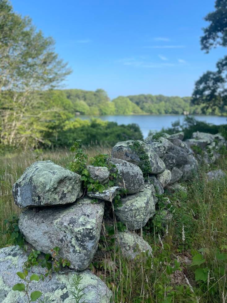 A stone wall at her Martha&#8\2\17;s Vineyard property.