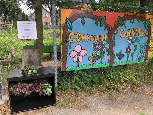 Peace and Plenty Community Garden