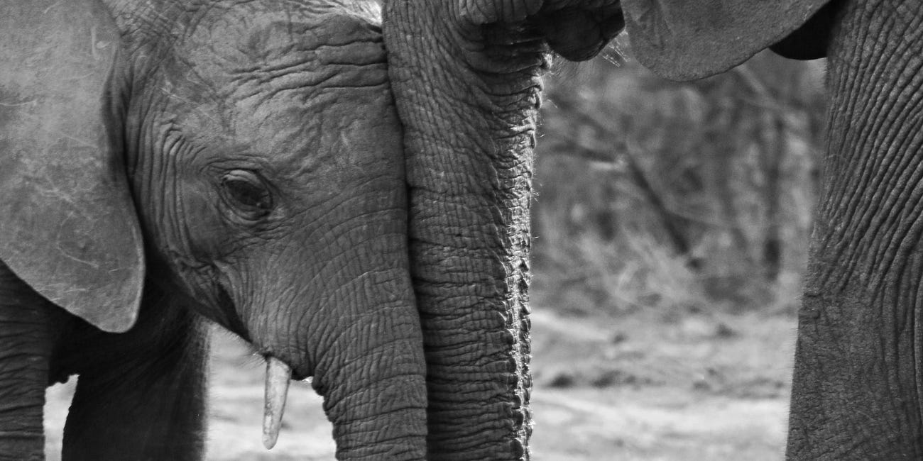 Don’t say you didn't know