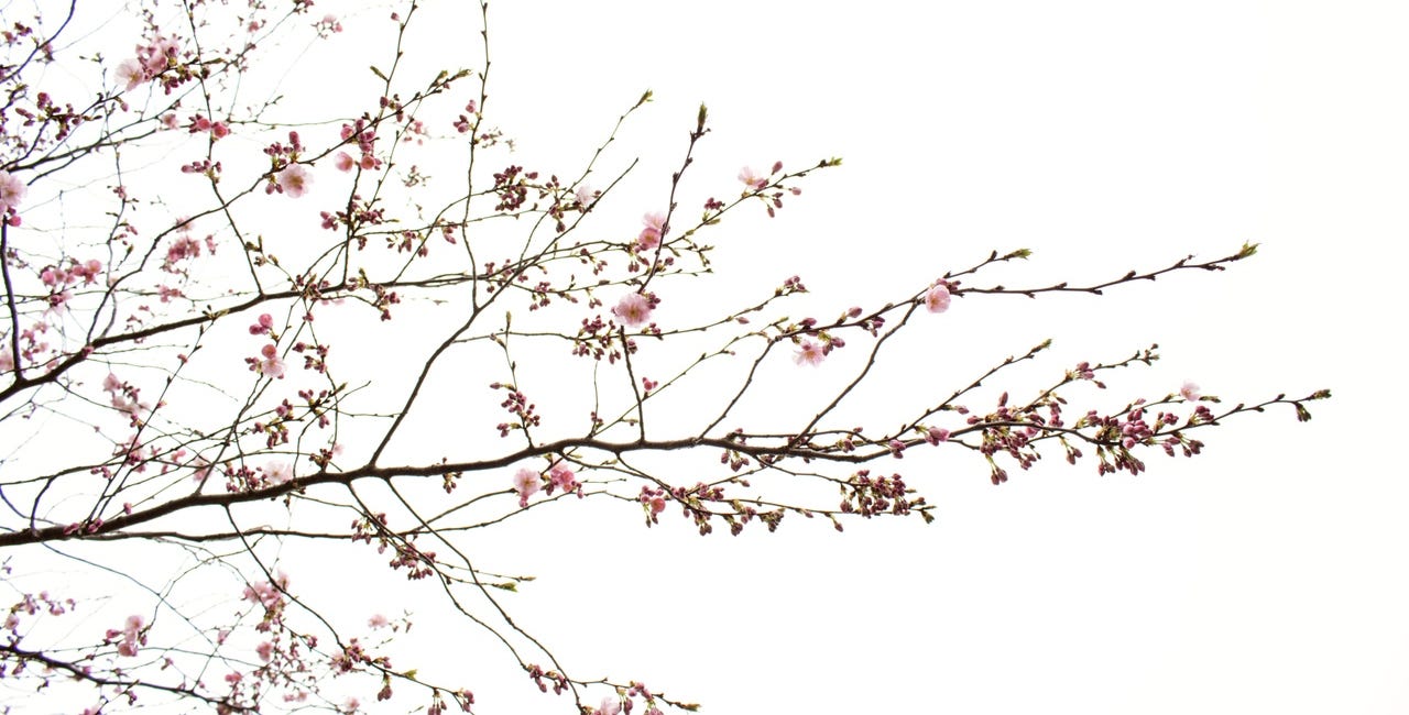 Pillar Of Health: ENVIRONMENT