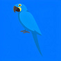 Hyacinth Macaw's avatar