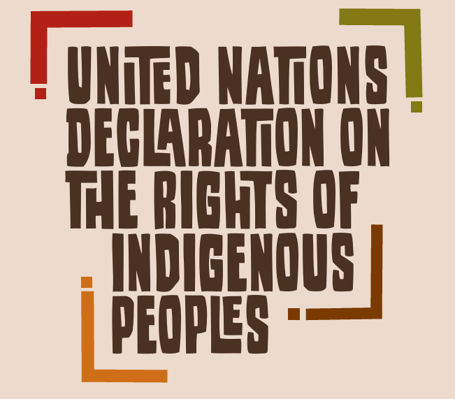 screenshot of title page of UNDRIP