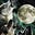 Wolf Moon's avatar