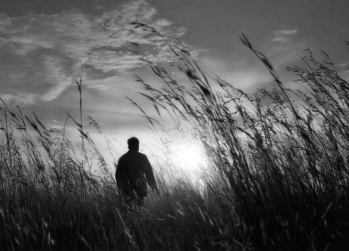 Silhouette of a Man Walking Through Tall Grass at Sunset By Vibu design gallery || Altered and edited by David C. Roberson