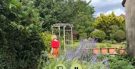Scenes of a spring garden in the French countryside. Roses, fuchsia, hydrangeas