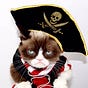 Hatice 😾🏴‍☠️🎨🩺 [abigailht]'s avatar