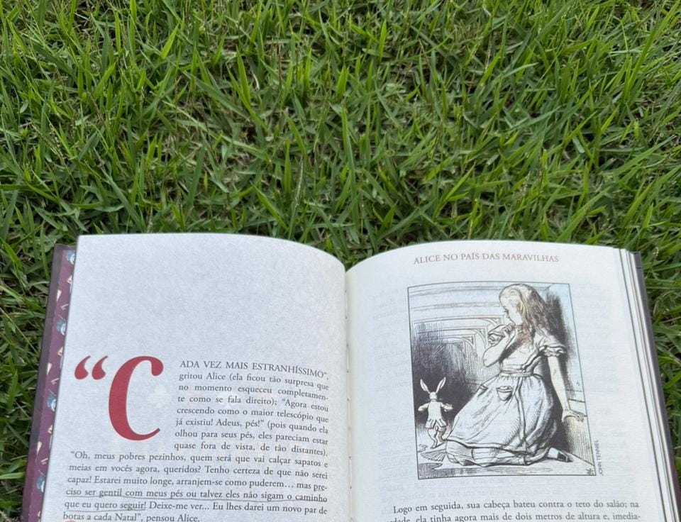 Livro aberto sobre a grama verde, na página à esquerda uma citação sublinhada diz “preciso ser gentil com meus pés ou talvez eles não sigam o caminho que eu quero seguir!”, e ao lado direito um desenho de Alice vendo o Coelho Branco correr longe. Livro aberto sobre a grama verde, na página à esquerda uma citação sublinhada diz “preciso ser gentil com meus pés ou talvez eles não sigam o caminho que eu quero seguir!”, e ao lado direito um desenho de Alice vendo o Coelho Branco correr longe.