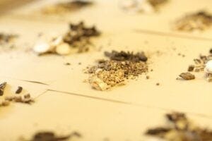 traditional Chinese medicine herbs