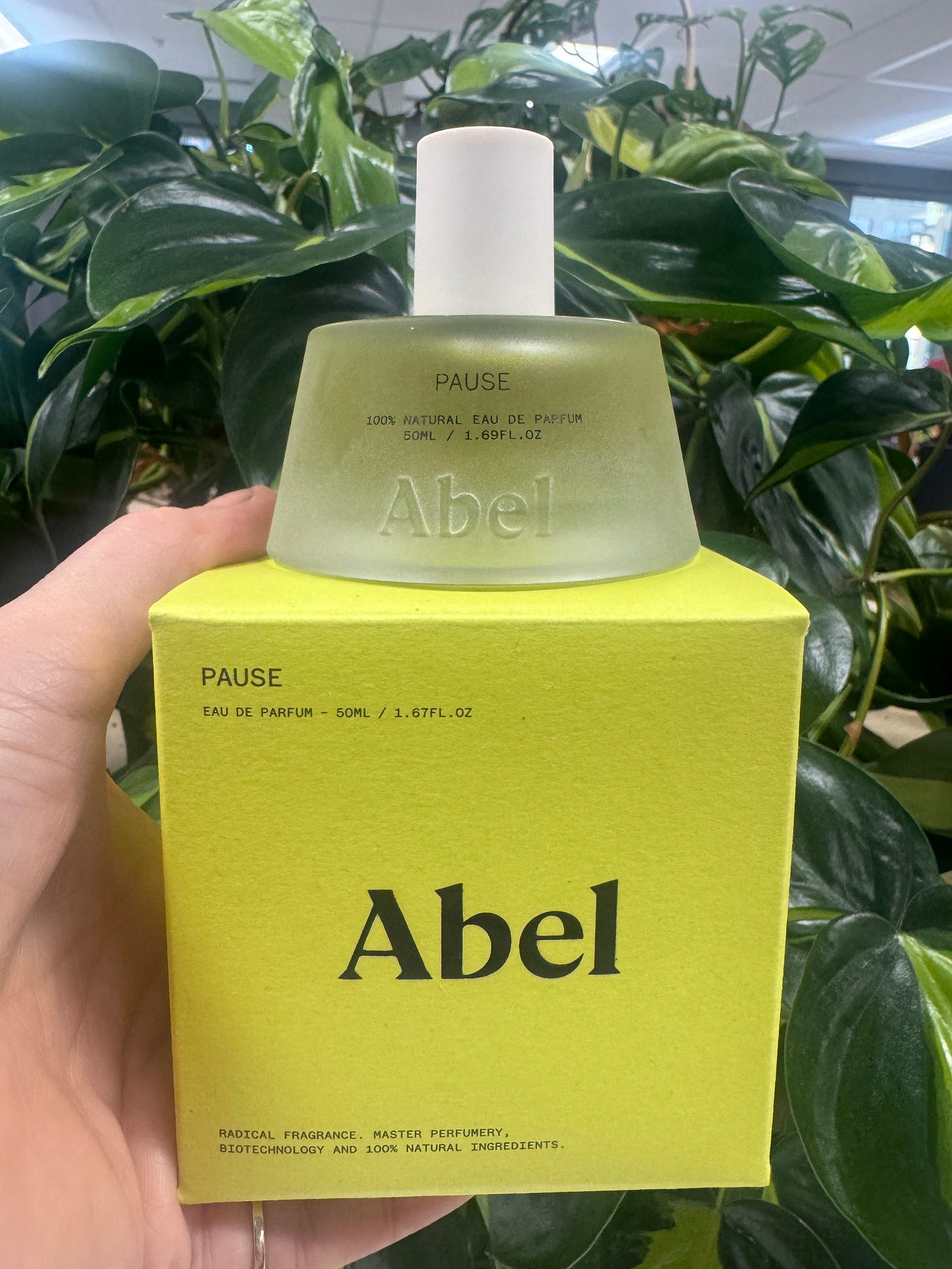 Holly holds the Abel perfume on top of its box.