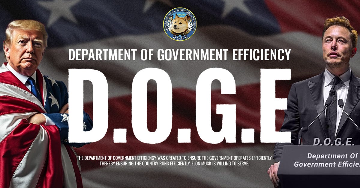 Deparment of Government Efficiency