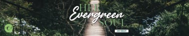 Her Evergreen Soul