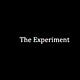 The Experiment 