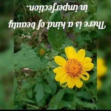 Life's’s Moments And Events 