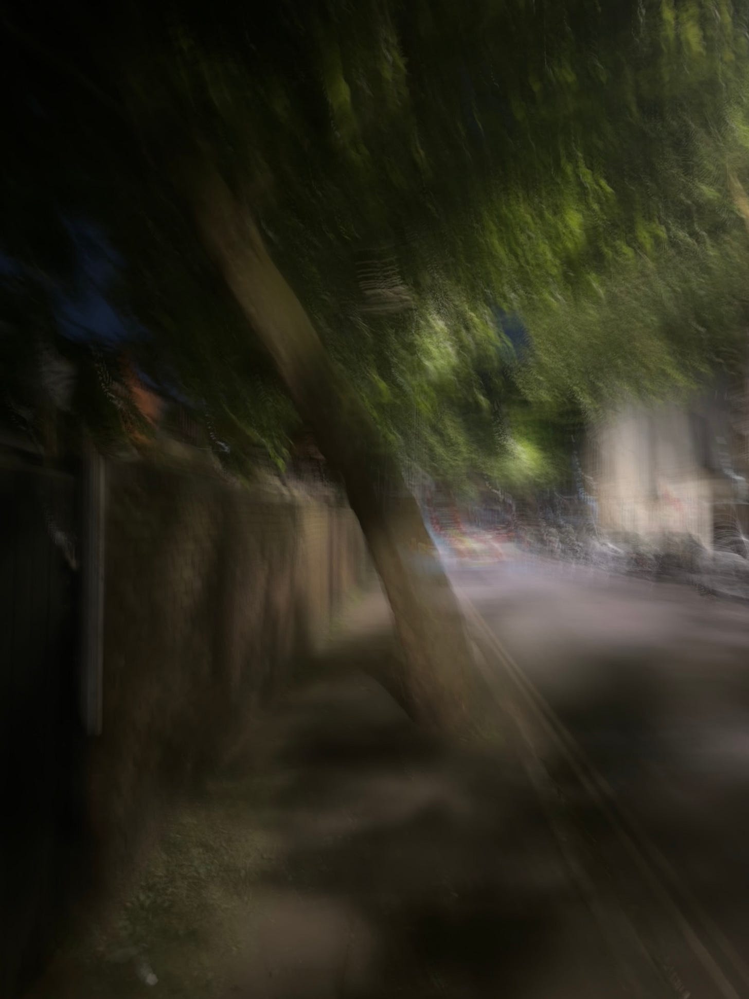 A long exposure photo of my leaning tree again. It is night but the whole photo is out of focus. You probably wouldn't recognise it as a tree if hadn't been presented in sequence with the photos surrounding it.