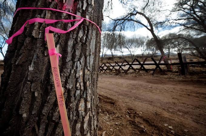 A death sentence marked on a living monument., AI generated