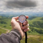 The Day Everything Felt Wrong—And What My Tree-Friend Hermann Taught Me About Sacred Re-regulation