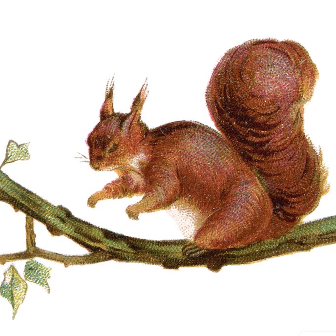 Notes from the Field