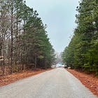 Habitat for Humanity partners with James City on Clark Lane duplexes
