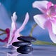 Nourish & Flourish Newsletters