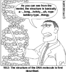BIOCHEMISTRY - Learning with McComb