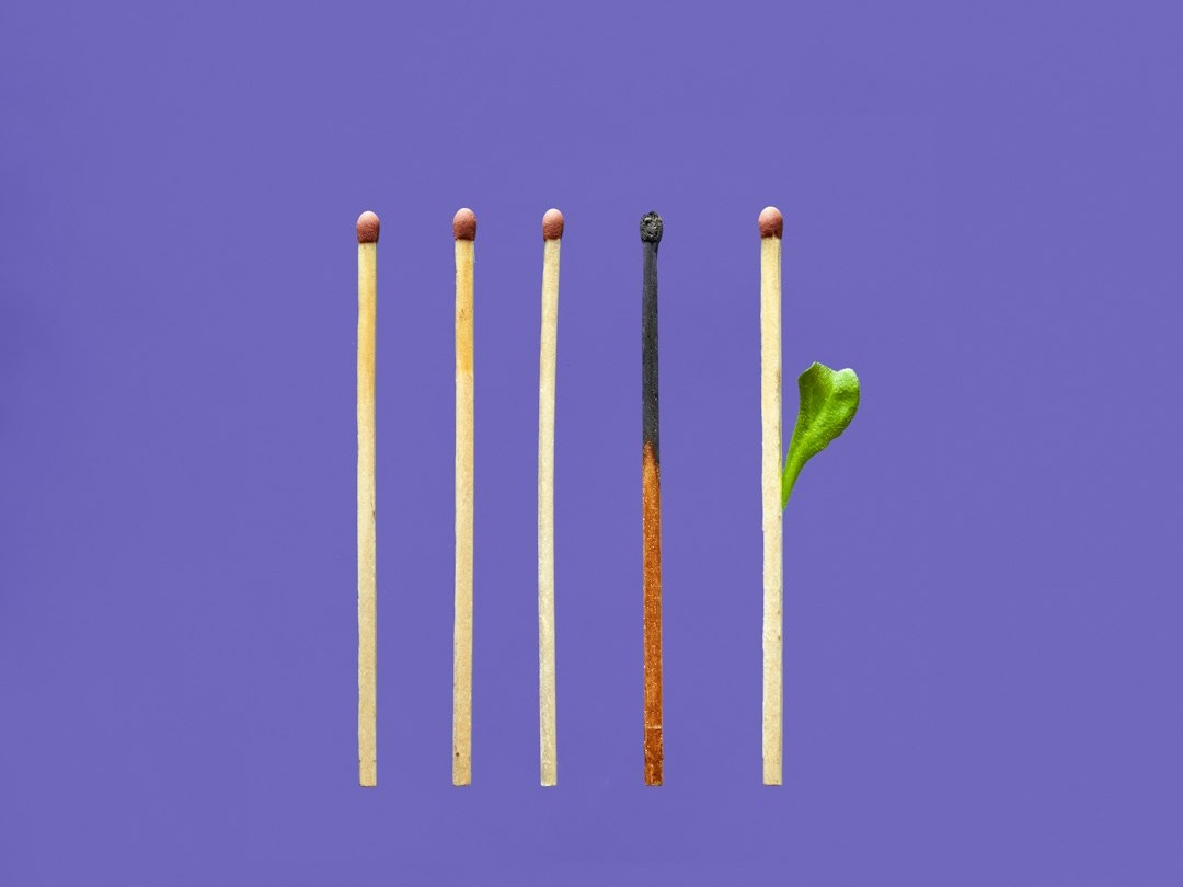 brown wooden sticks with green leaf