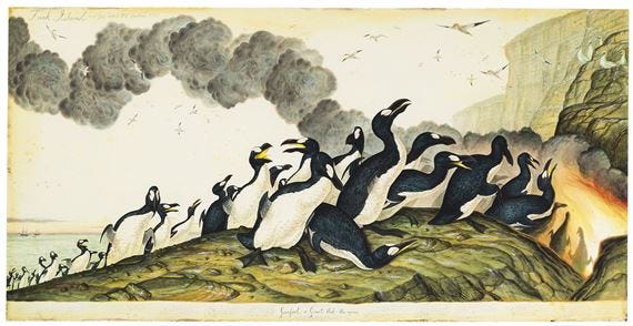 Artwork by Walton Ford, Funk Island, Made of watercolor, gouache, graphite and ink on paper