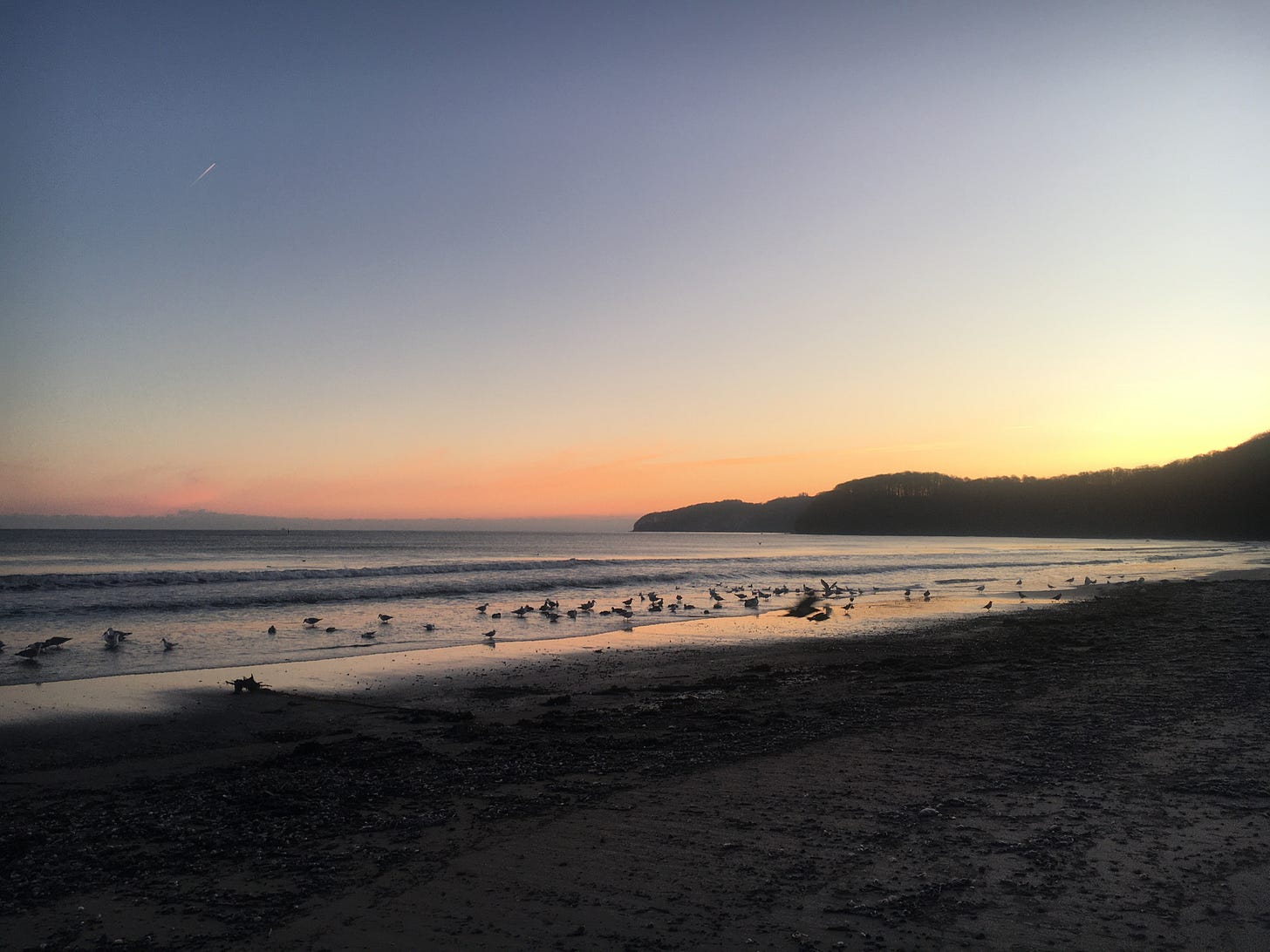 Sonnenaufgang am Strand, im Hintergrund eine Steilküste, im Vordergrund ein Möwenschwarm in der Brandung.