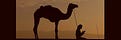 𝙻𝙴𝙰 🌙