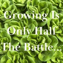 Growing is HALF the Battle!