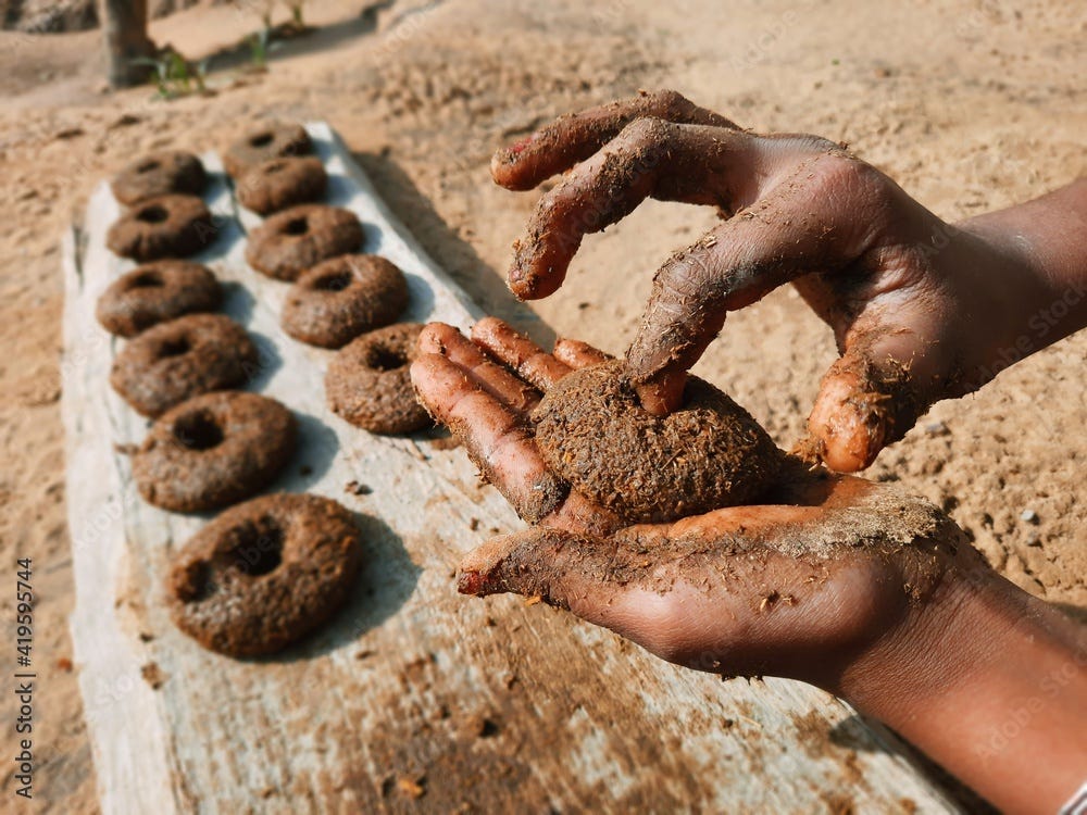 traditional handmade cow dung cakes or badculla for holi celebration in Indian culture Stock ...