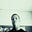 Timi's avatar