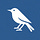 Starling Systems: Field Notes on Connection