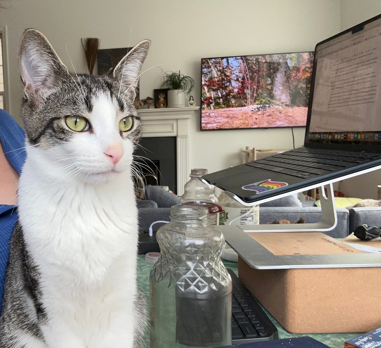 Gray and white striped kitten sitting on table in front of laptop computer and wall-mounted TV screen and fireplace