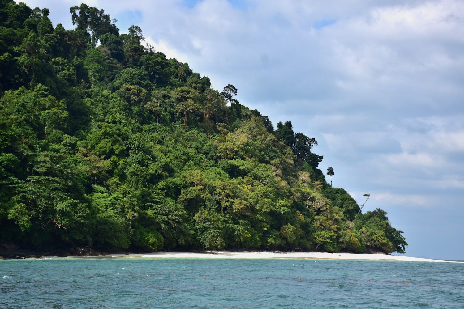 Paypoq va taytlarda guruhli jinsiy aloqa Sikli yalangoch erkaklar