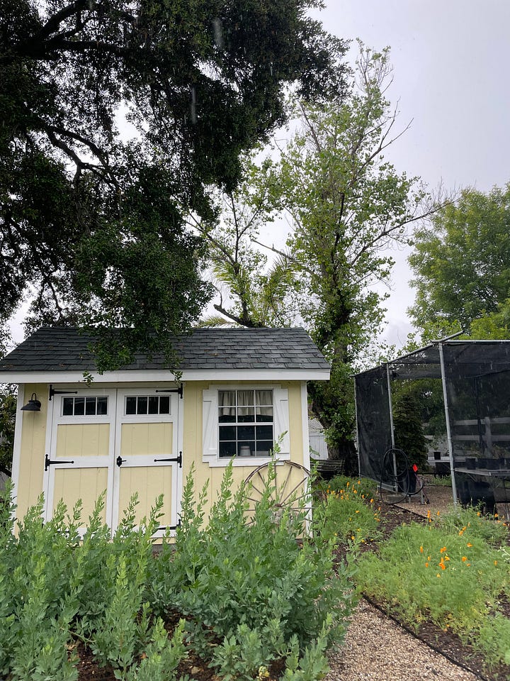 Big yellow country house with flowers and trees, 