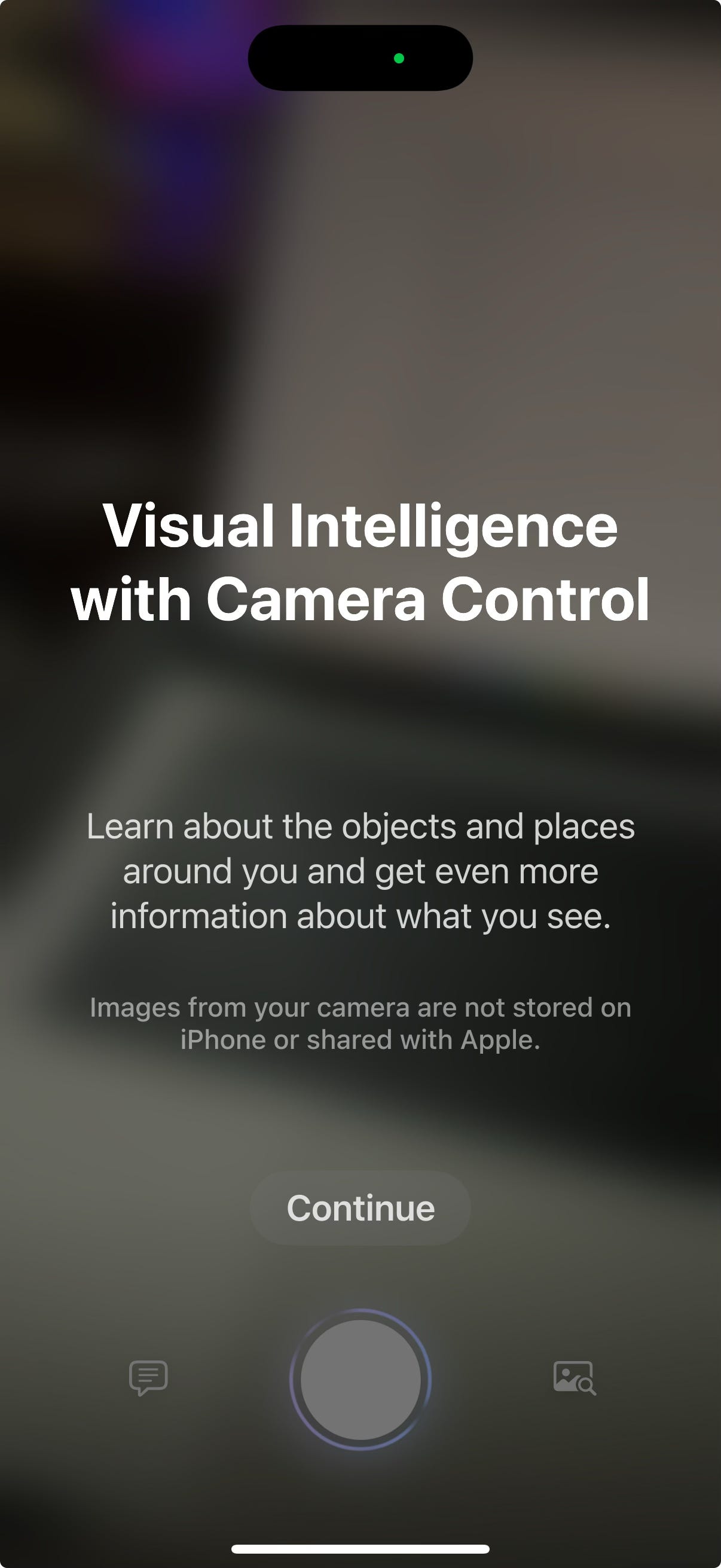 Launching Visual Intelligence